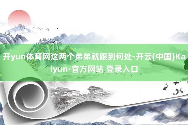 开yun体育网这两个弟弟就跟到何处-开云(中国)Kaiyun·官方网站 登录入口