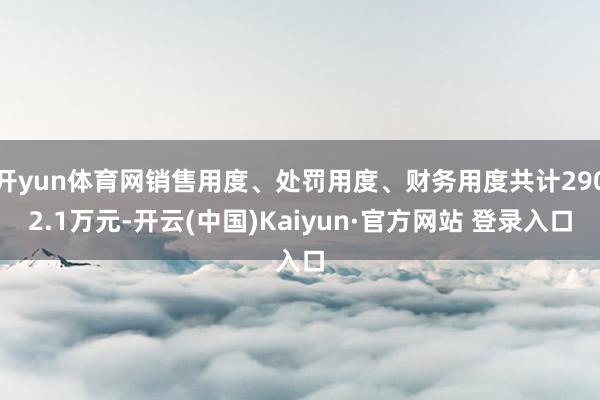 开yun体育网销售用度、处罚用度、财务用度共计2902.1万元-开云(中国)Kaiyun·官方网站 登录入口