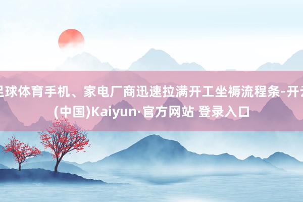 足球体育手机、家电厂商迅速拉满开工坐褥流程条-开云(中国)Kaiyun·官方网站 登录入口